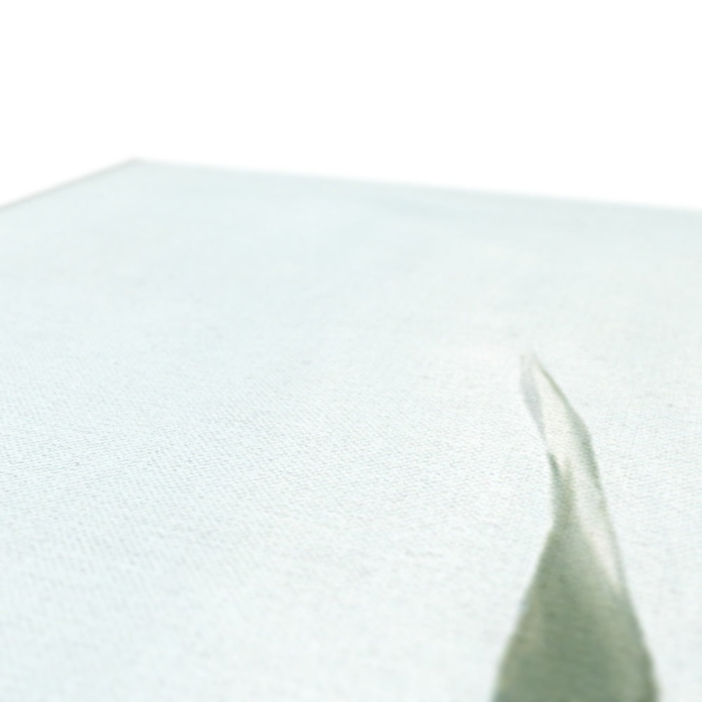 Canvas Print - Ethereal Elegance 3